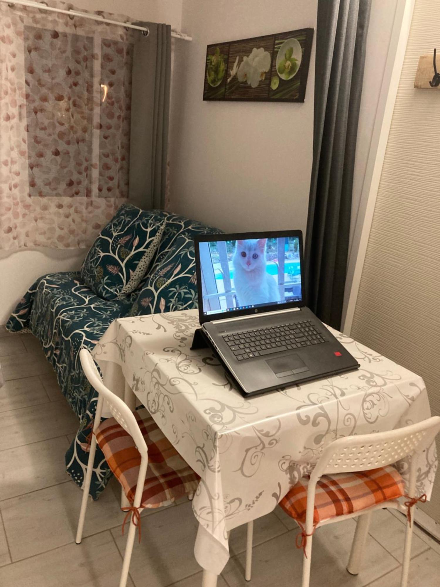 Au Havre De Paix Appartement Garéoult Buitenkant foto